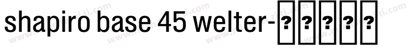 shapiro base 45 welter字体转换